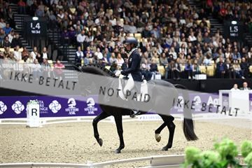 182194_avh_07_4423.JPG