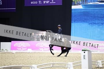 182194_avh_06_3311.JPG