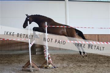 181804_mlm_01_R62_8794.JPG