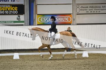140040_abo_02__AB19272.JPG