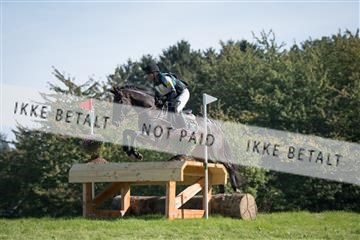 2019 Copenhagen Eventing Johan Lundin Zuma 163761_KNF_01_KEE_209.jpg