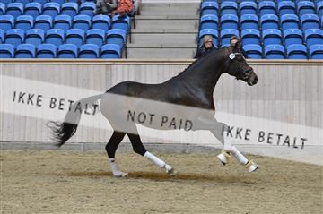 139327_abo_01__AB10319.JPG
