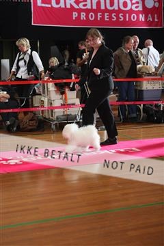 6068_ma_05_IMG_5773.JPG