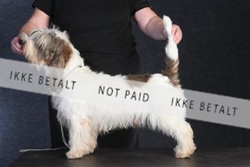 132082_le_ 01_IMG_0050.JPG