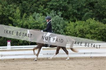 156196_nn_01_IMG_5973.JPG