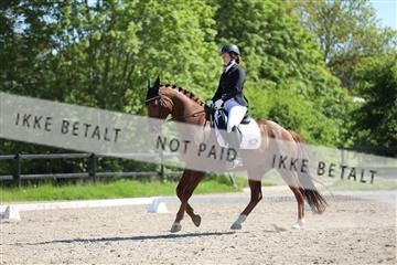 168732_mtp_01_3M5A8184.JPG