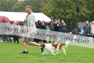 182009_rin_02_R62_0342.JPG