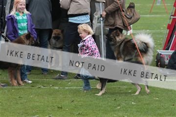 126168_tl_01_IMG_0121.JPG