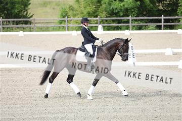 172030_mtp_01_3M5A1446.JPG