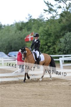 156196_nn_01_IMG_5888.JPG