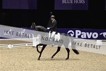 182194_kbb_03_Z091288.JPG