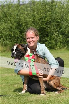 130370_le_03_IMG_8321.JPG