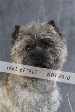 130054_le_ 03_0055.JPG