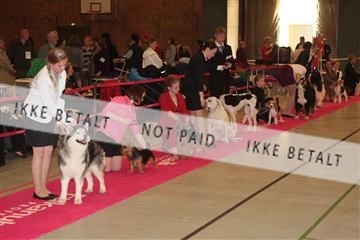 124188 _tl_02_IMG_9513.JPG