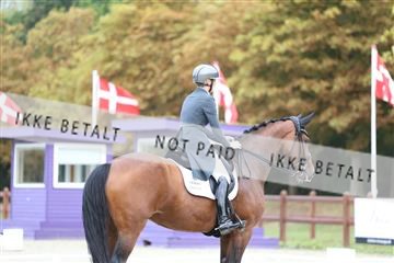 181923_mtp_04_R62_8710.JPG