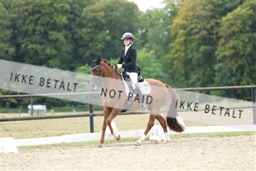 181894_mtp_04_R62_3782.JPG