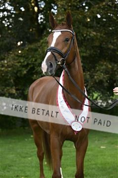 _Z090931.JPG
