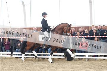 174363_kbb_01_R6II8143.JPG