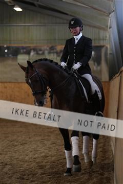 139206_kl_1_8M1Q5382.JPG