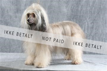 129608_le_ 01_0079.JPG