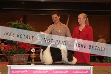 124188 _tl_02_IMG_9213.JPG