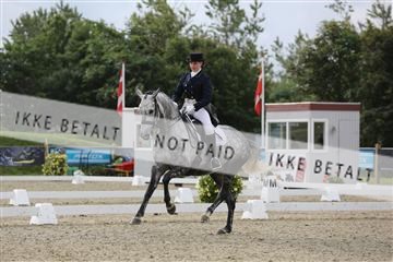 156196_nn_01_IMG_5158.JPG