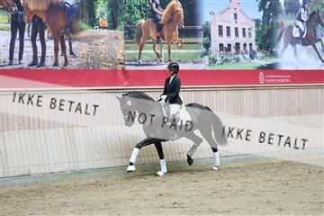 181887_mtp_04_R62_8594.JPG