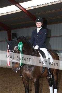 139835_sg_03_IMG_9247.JPG