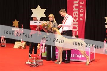 126827_tl_04_IMG_0226.JPG