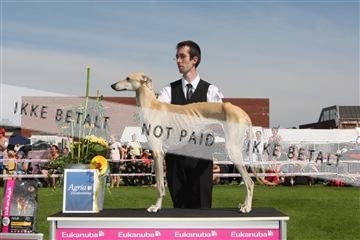 130370_se_02_IMG_6358.JPG
