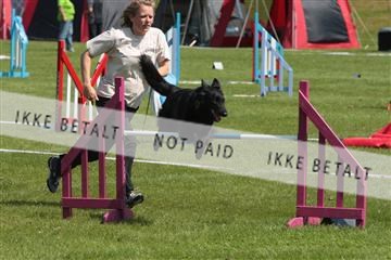 130370_tl_02_IMG_7803.JPG
