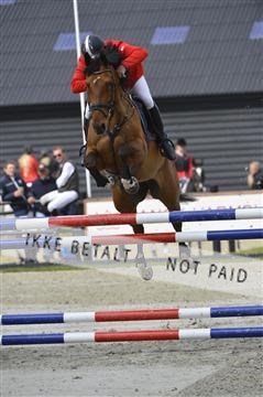 139644_abo_01__AB13796.JPG