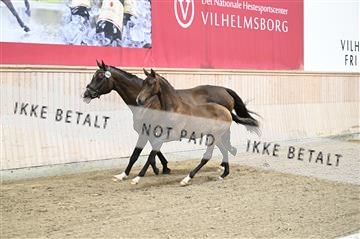 181754_kbb_01_Z093775.JPG
