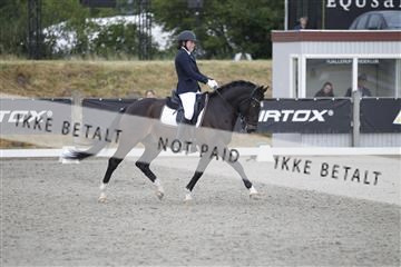 166078_rhj_01__J7R4453.JPG