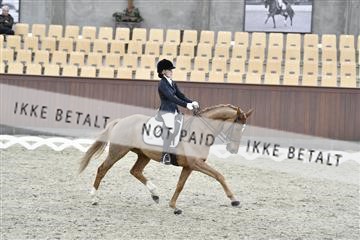 157526_abo_01__D059037.JPG