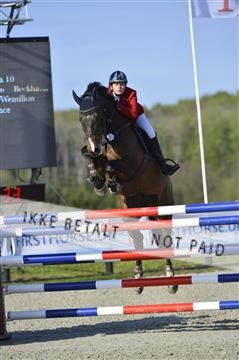 139644_abo_02__AB14803.JPG