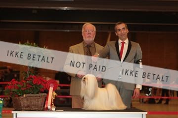 124188 _tl_02_IMG_9294.JPG