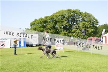 181564_kar_01__62_8296.JPG