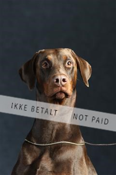 132082_le_ 01_IMG_1351.JPG