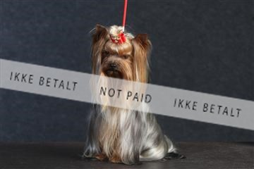 132082_le_ 01_IMG_0363.JPG