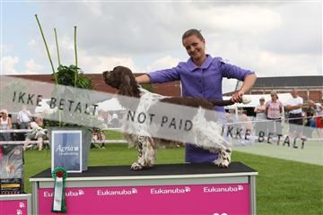 130370_le_02_IMG_8520.JPG