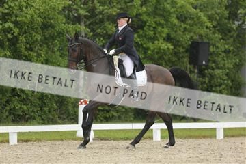 139835_sg_02_IMG_8709.JPG