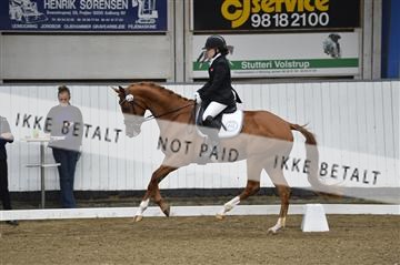 140040_abo_02__AB18334.JPG