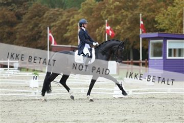 181923_mtp_03_R62_7725.JPG