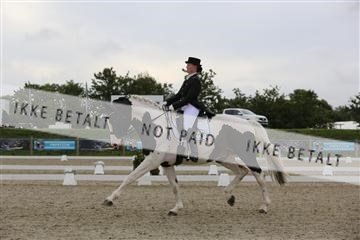 156196_nn_01_IMG_5207.JPG