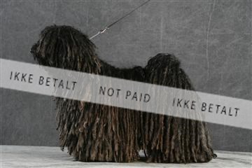 5493_sme _02__MG_9659.JPG