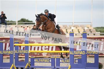 152762_nn _05_IMG_7488.JPG