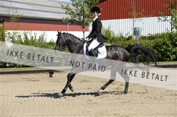 139815_ms_01__MS26998.JPG