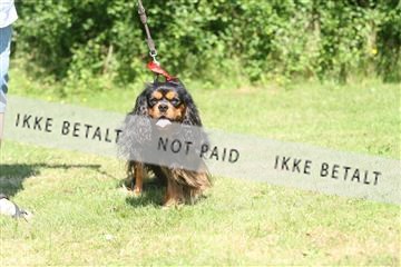 130370_se_03_IMG_7204.JPG