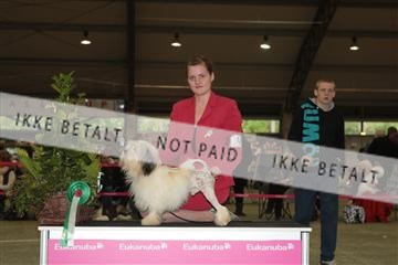 126168_se_01_IMG_0271.JPG